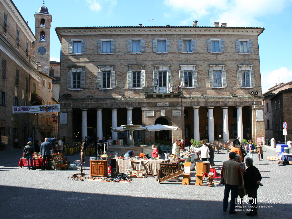 Urbino